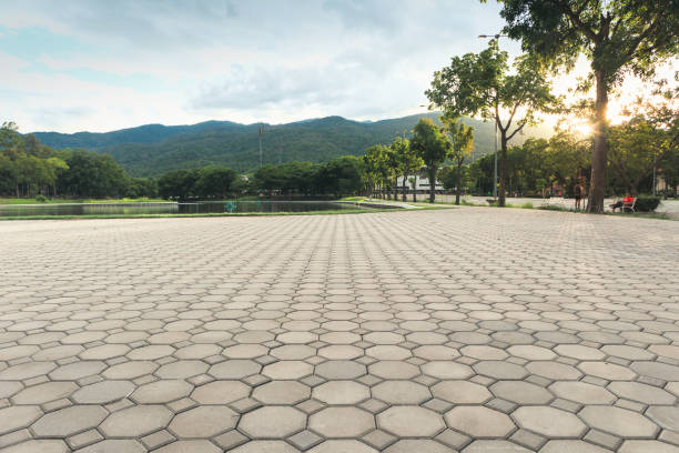 Best Affordable Driveway Pavers  in Pine Lake Park, NJ